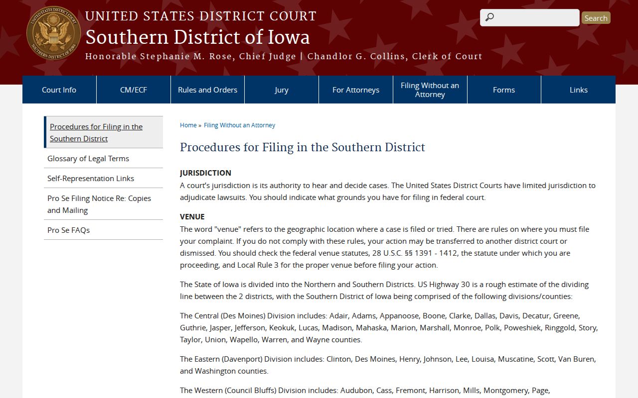 New Market criminal records in Taylor County and Southern District of Iowa filing procedures